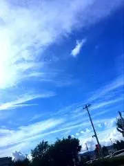 こうの画像