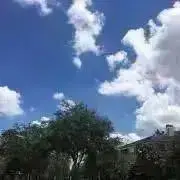 発送日注意　フロリダブリーズの画像