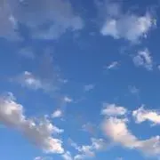 はるさめの画像
