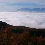 す