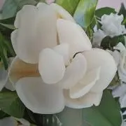 Lirikaの画像