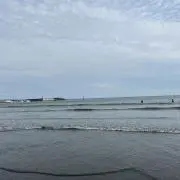 ココままの画像
