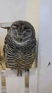 み～の画像