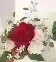 サンシャインの画像