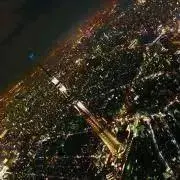 ガジュマル5の画像