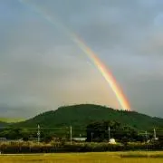 TAM☆プロフ詳細ご確認下さい☆の画像