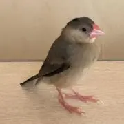hiromiの画像
