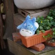 はくまいの画像