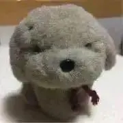 ポリタさんの画像