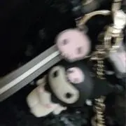 sの画像