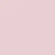 pinkの画像