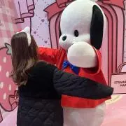 ckの画像
