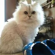 みっちゃん