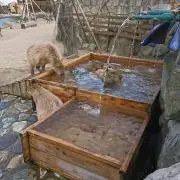 あきちゃん