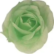 グリーンティーの画像