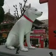 tetsuya