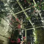 eriiiの画像