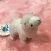 ペコの画像
