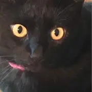 さっちゃんの画像