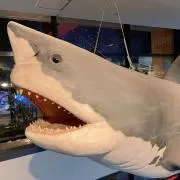 ジャルジャルに興味ある奴の画像