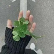 たろう