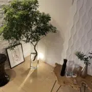 Benkeiの画像