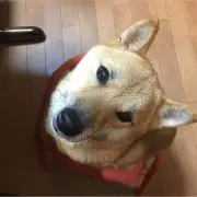ウメちゃん！