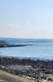 キャンダムの画像