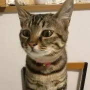 もみちゃん♡(*˘︶˘*).。.:*♡の画像