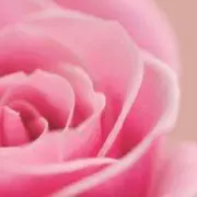 rian_a
