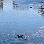 みちおの画像