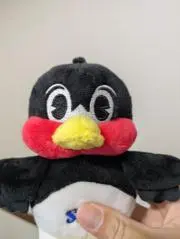 kkの画像