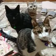 ぶた～ん♪&むー♪