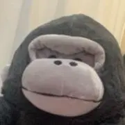 モトの画像
