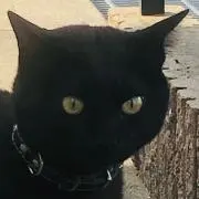 トニー