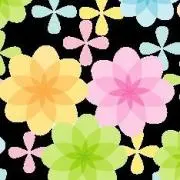 すとろべりーの画像