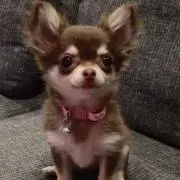 なおまん