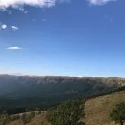 ユウの画像