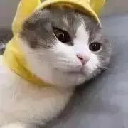 チャムチ 即購入◎の画像