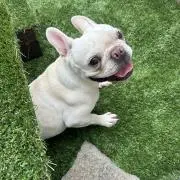 MEG⭐︎MEの画像