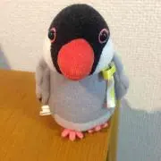キュウタtori toripkの画像
