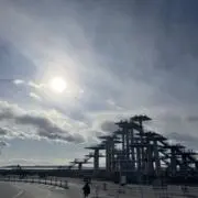 ＼^【C】^／