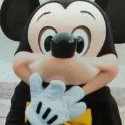 カイト☆の画像