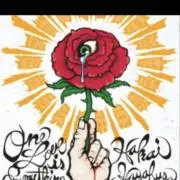 @@@フォロー割5%オフ　まとめ買い歓迎