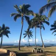 れもんぐみの画像