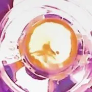 がふう
