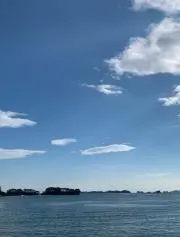 ととろの画像