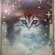 タピオカミルクティ