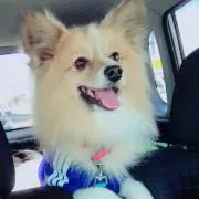 JUN