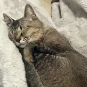 なぁ